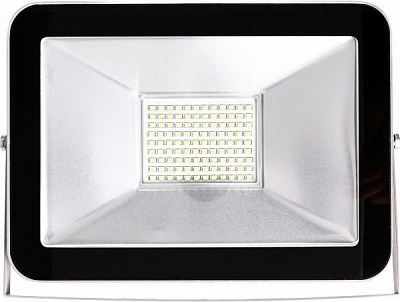 Прожектор Jazzway PFL- C-100 100 Вт IP65 черный 