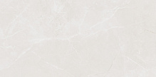 Плитка Articer Tiles Barocco light polished grey 60x120 см