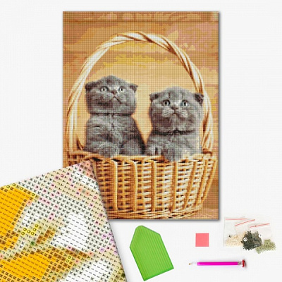 Алмазна мозаїка Британські кошенята в корзинці 40х50 см Brushme