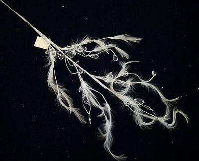 Декорація новорічна Гілка з пір'ям і кристалами 67 см EPI-15A3530