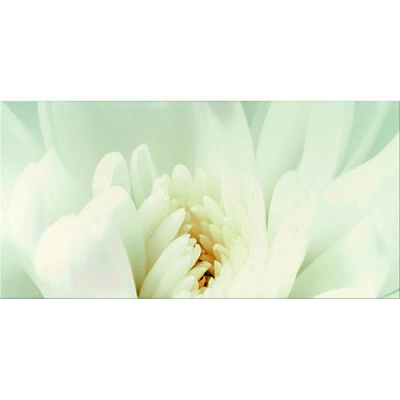 Декор Opoczno Diago Цветок C 300x600 мм