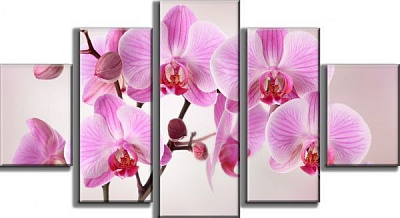 Картина модульна 60x110 см M5(S) F-250