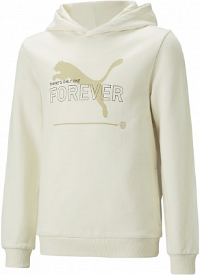 Джемпер Puma PUMA ESS BETTER HOODIE TR KIDS 67365999 р. 164 бежевый