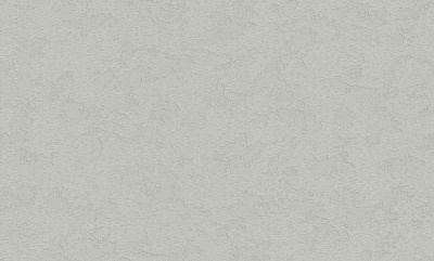 Обои виниловые на флизелиновой основе MEGAPOLIS 9173-05 1,06x10,05 м