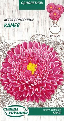 Семена Семена Украины астра помпонная Камея 771500 0,25 г