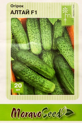 Насіння MoravoSeeds огірок Алтай 20 шт.