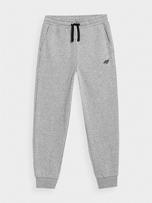 Штани 4F TROUSERS CAS M266 4FJMM00TTROM266-27M р. 158 сірий