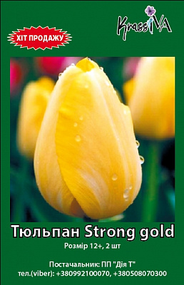 Луковица KrassIVA тюльпан Strong Gold 2 шт. 