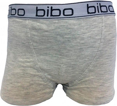 Трусы для мальчиков Bibo р.116 серый 24005 