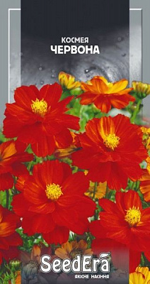 Семена Seedera космея красная 0,5 г (4823073722268)